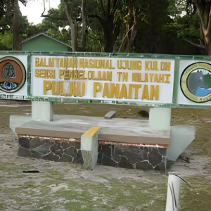 https://dev.windowtraveler.com/image/cache/catalog/Indonesia%20Travel%20Marketplace/Lippo%20Carita/panaitan1-300x300.png