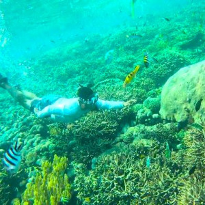 https://dev.windowtraveler.com/image/cache/catalog/Indonesia%20Travel%20Marketplace/Nusa%20Penida/np6-300x300.jpeg