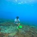 NUSA PENIDA FULL DAY TRIP PAKET A (Sharing)