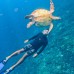 NUSA PENIDA FULL DAY TRIP PAKET A (Sharing)