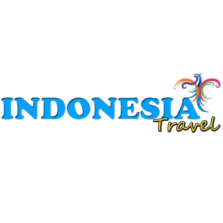 Travel Pro 4.0