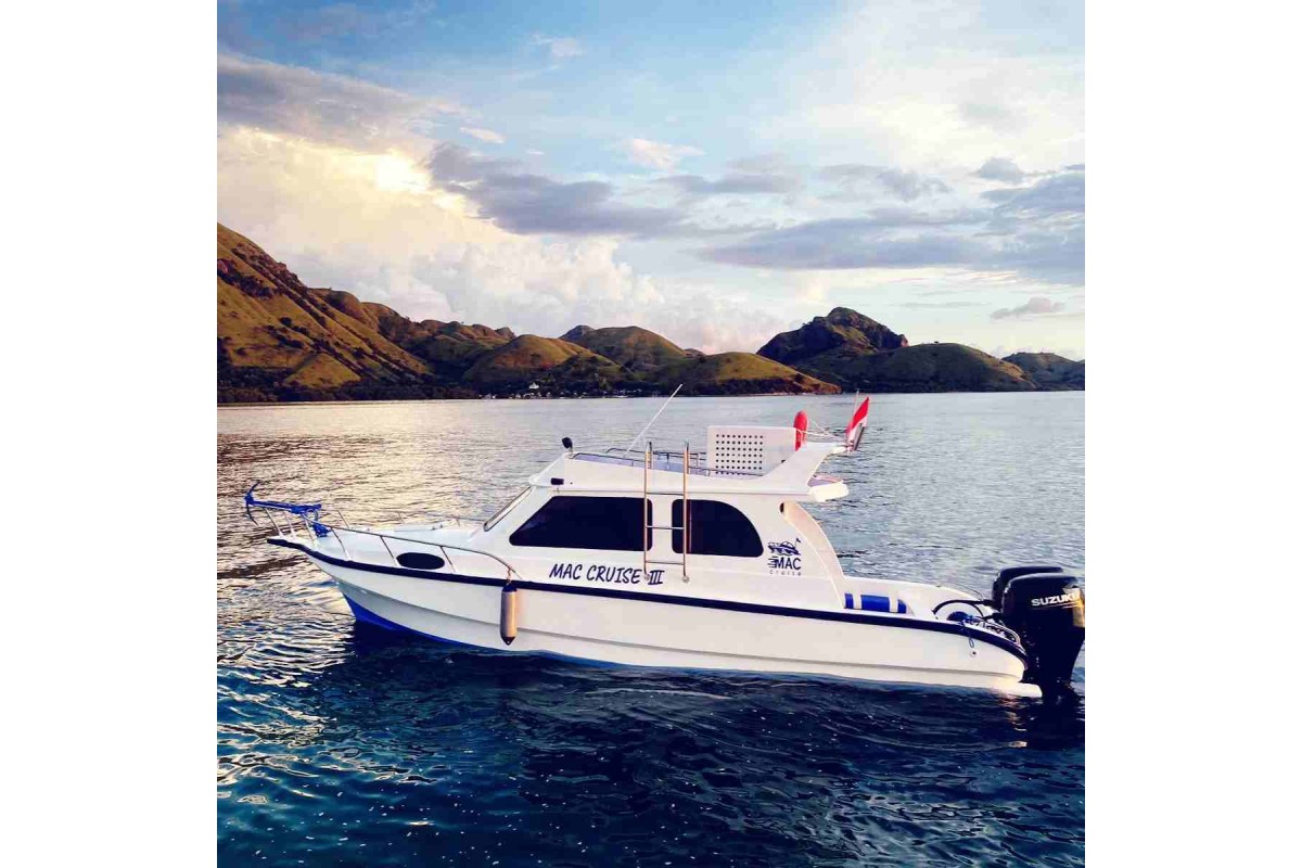 Privat Komodo  Speed Boat  III & VII (Toilet, AC)