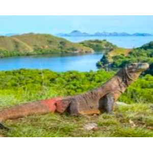 https://dev.windowtraveler.com/image/cache/catalog/tourtravel/Komodo%20Explorer/ke30-300x300.jpg