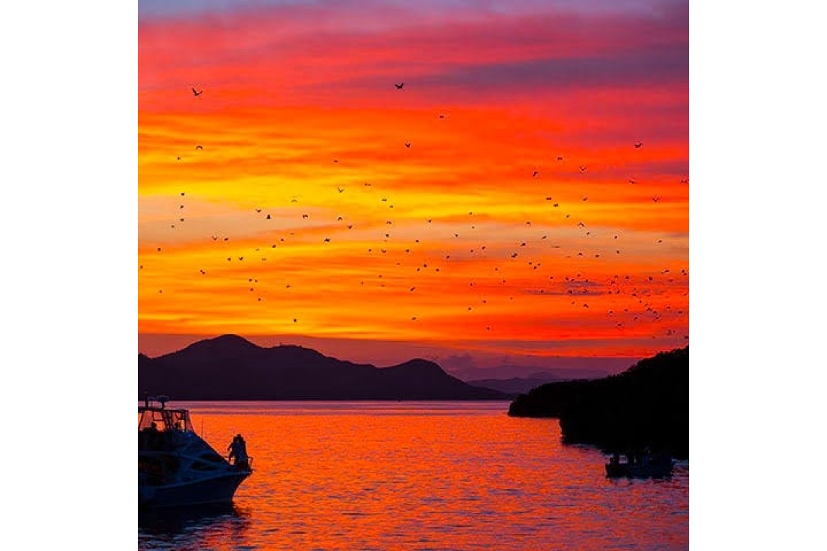Sunset Trip half day speed boat 