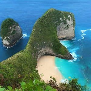 https://dev.windowtraveler.com/image/cache/catalog/tourtravel/Nusapenida%20Traveler/zyro-image%20(1)-300x300.jpg
