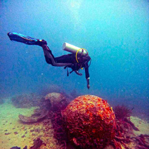 https://dev.windowtraveler.com/image/cache/catalog/tourtravel/padaido%20dive/pd5-300x300.jpg